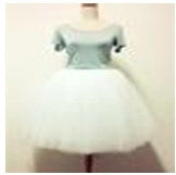 Icy Tulle Skirt