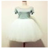 Icy Tulle Skirt
